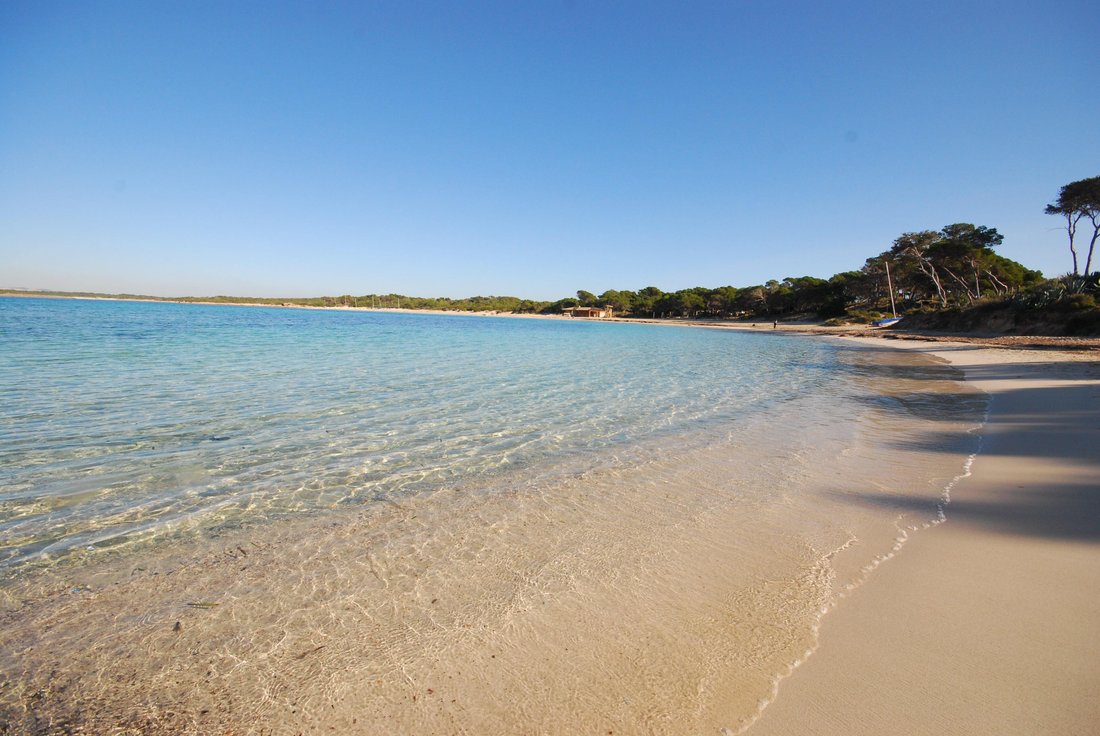 Villa in ses Salines, Balearic Islands, Spain 1 - 14343810