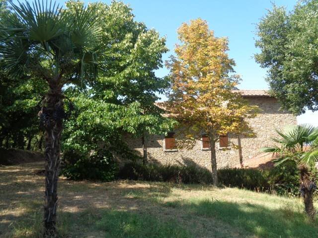 Rigutino - Frassineto, Arezzo, Tuscany 5 - 14347651