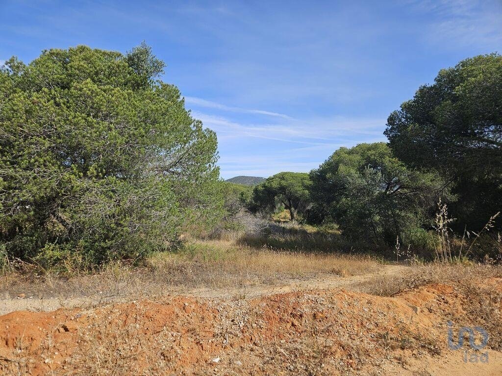 Land in Loule (Sao Sebastiao), Algarve, Portugal 5 - 14226282