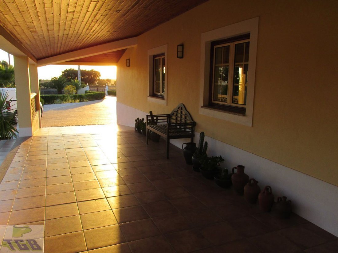 Farm Ranch in Cabeco de Vide, Portalegre District, Portugal 3 - 14345559
