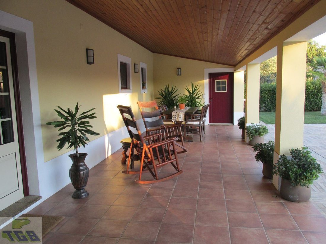 Farm Ranch in Cabeco de Vide, Portalegre District, Portugal 2 - 14345559