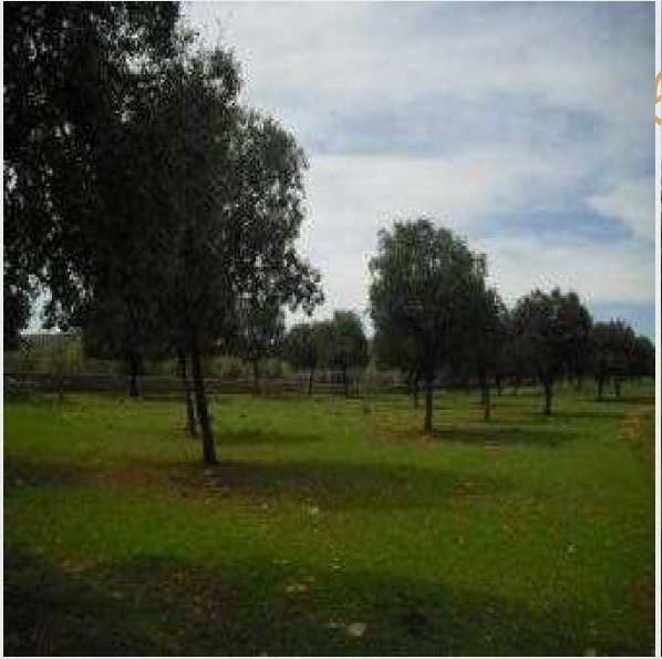 Farm Ranch in Distrito Norte, Seville, Spain 3 - 14349008