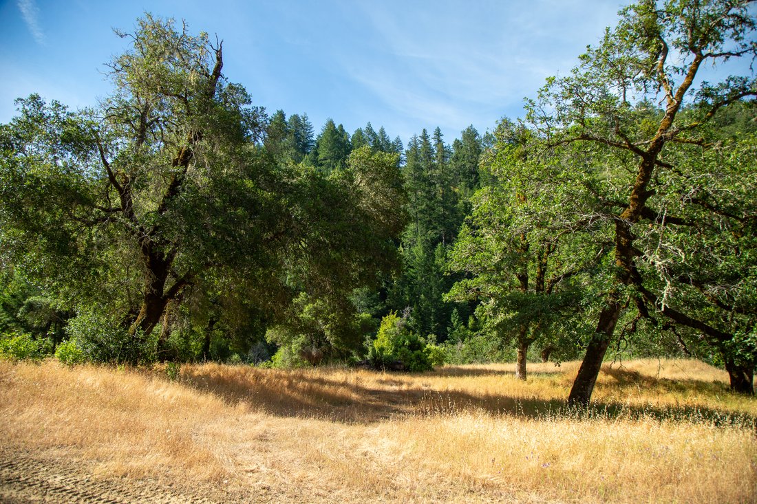 House in Geyserville, California, United States 4 - 14348981