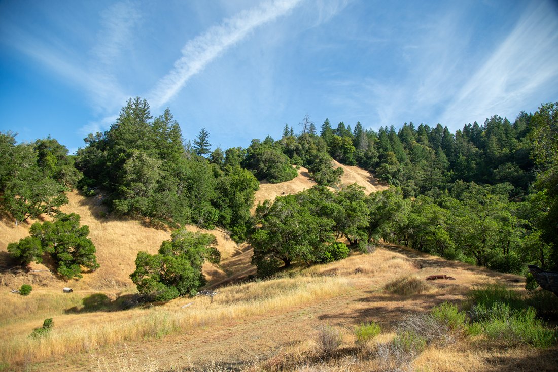 House in Geyserville, California, United States 5 - 14348981