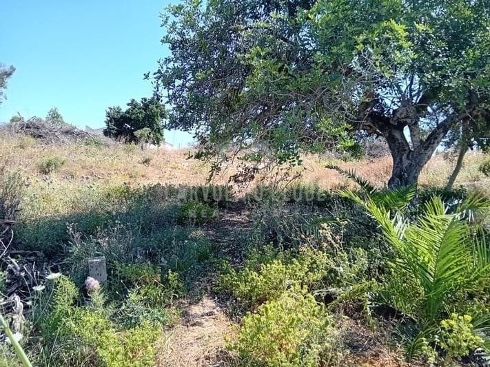 Land in Estombar e Parchal, Algarve, Portugal 2 - 14349115