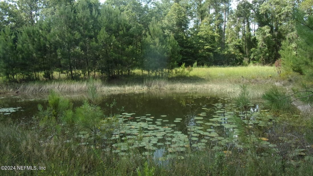Land in Palatka, FL, United States 5 - 14236855
