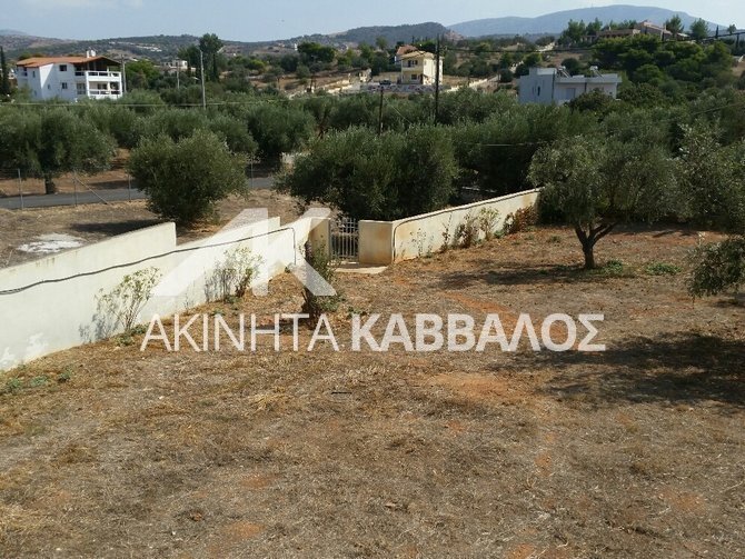 House in Kropia, Attica, Greece 5 - 14354269