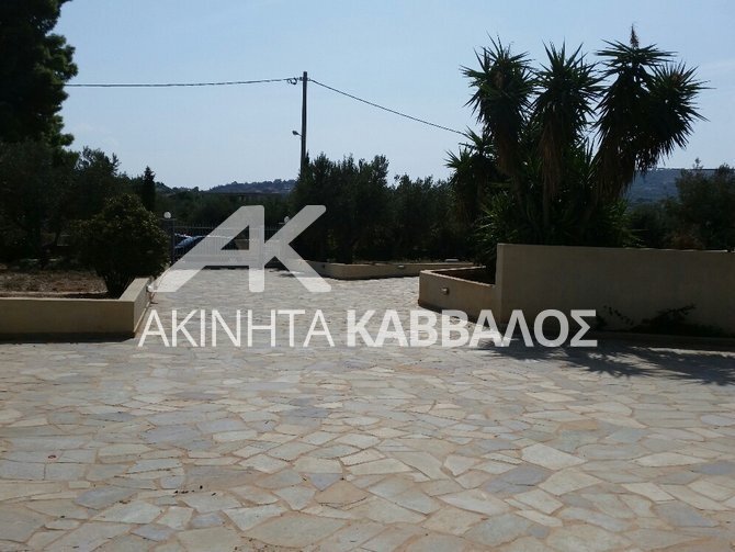 House in Kropia, Attica, Greece 4 - 14354269