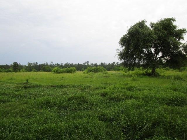 Land in Pearl River, Louisiana, United States 5 - 14351344