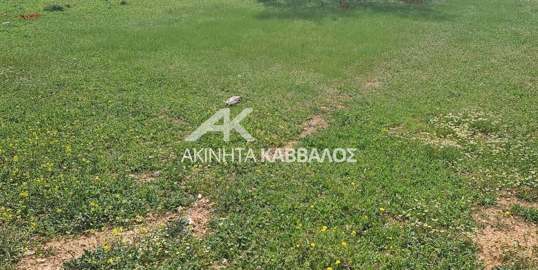 Land in Vari, Attica, Greece 2 - 14353806