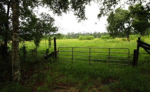 Land in Pearl River, Louisiana, United States 1