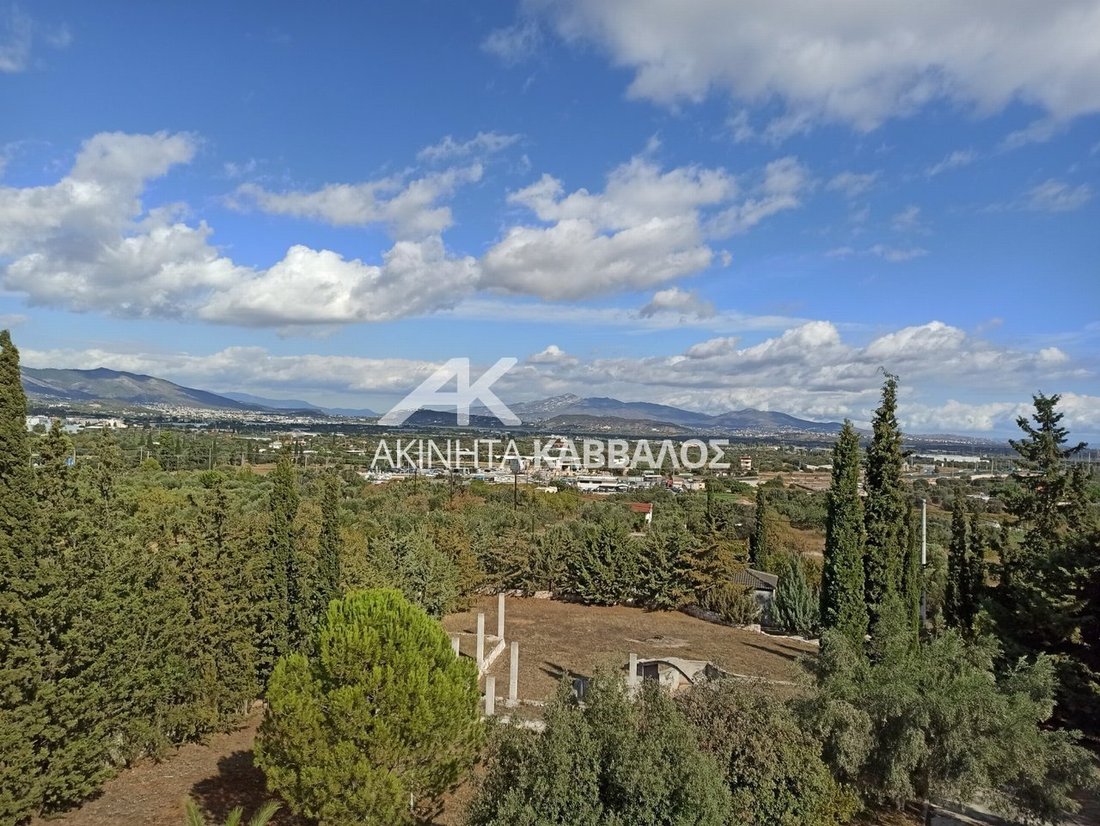 Kropia, Attica, Greece 4 - 14353754