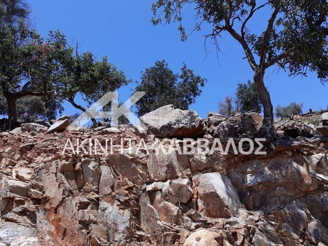 Land in Milopotamos, Greece 5 - 14354317