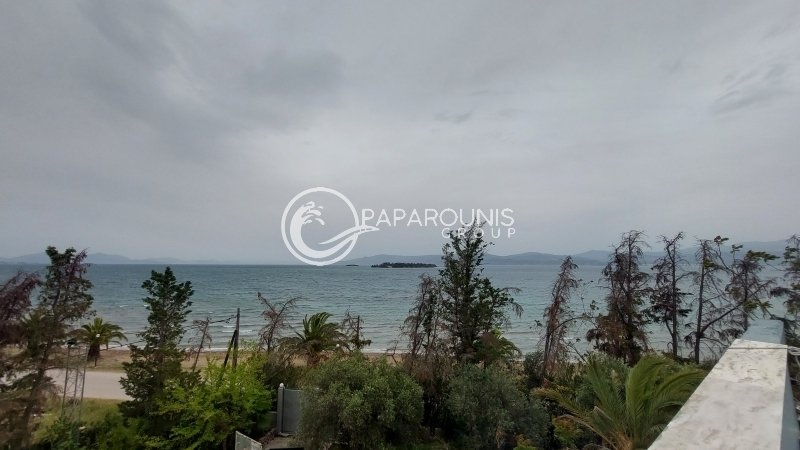 Villa in Eretria, Thessaly and Central Greece, Greece 5 - 14350268