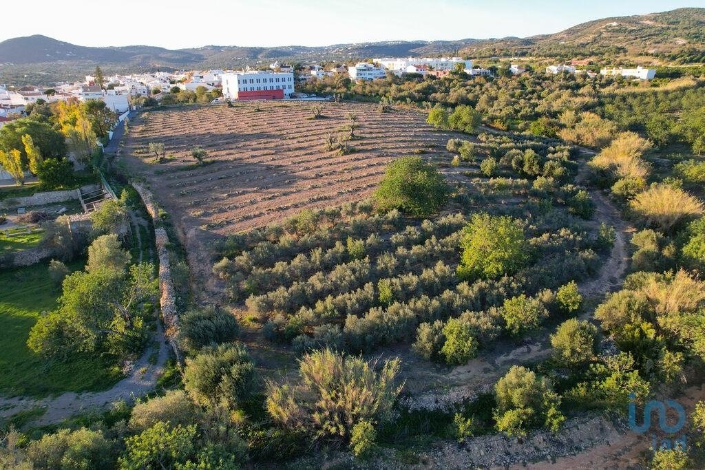 Land in Estoi, Algarve, Portugal 4 - 14356394