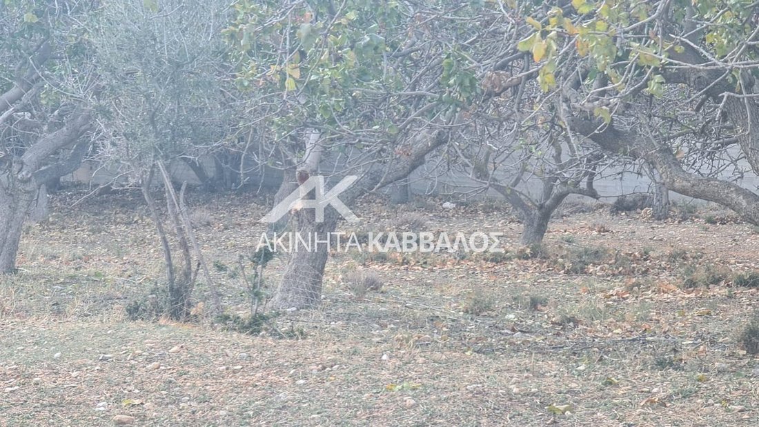 Land in Vari, Attica, Greece 2 - 14353656