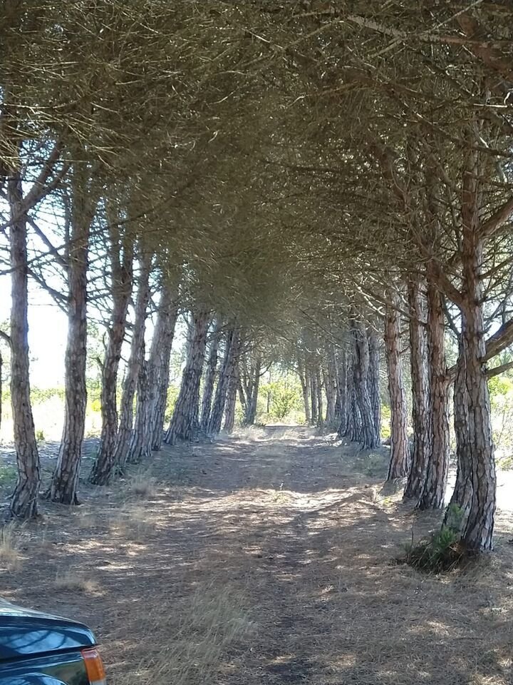 Land in Bordeira, Algarve, Portugal 4 - 14351964