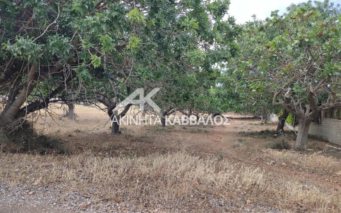 Land in Vari, Attica, Greece 5 - 14353656