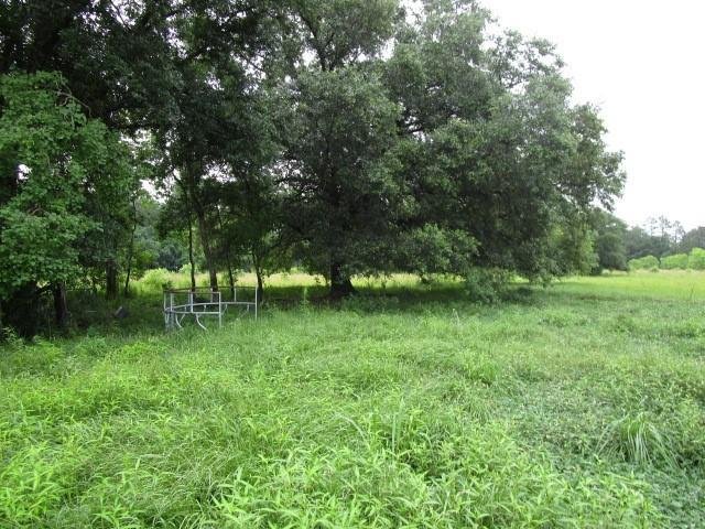 Land in Pearl River, Louisiana, United States 4 - 14351344