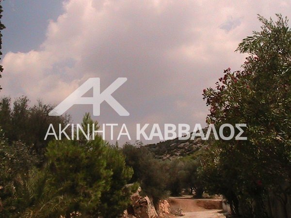 Land in Vari, Attika, Griechenland 1 - 14354367