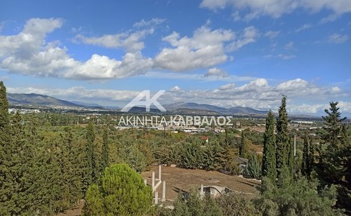 Land in Kropia, Attica, Greece 1