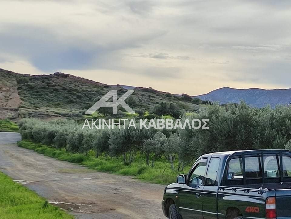 Land in Community of Palekastron, Itanos, Greece 4 - 14353824
