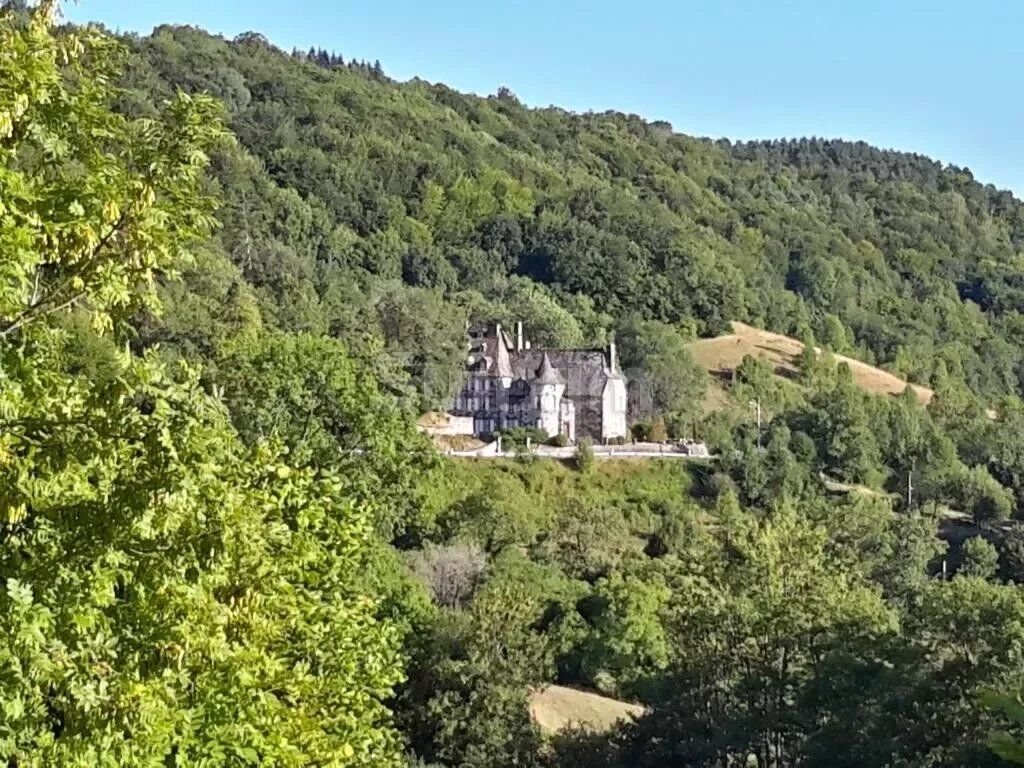 House in Raulhac, Auvergne-Rhône-Alpes, France 5 - 14351983