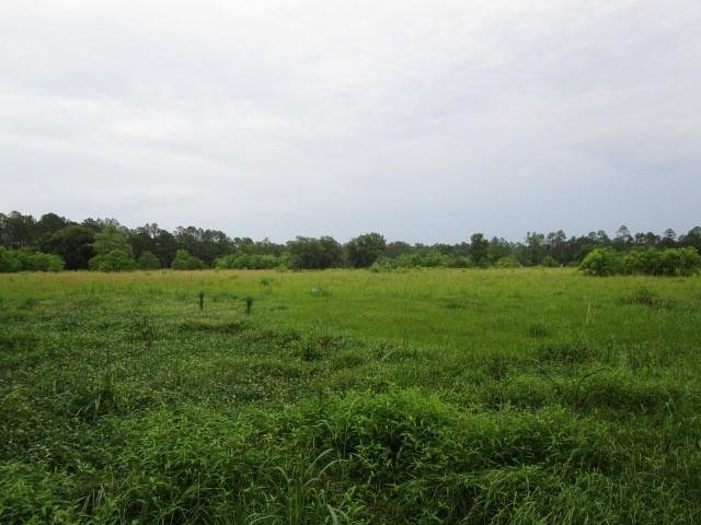 Land in Pearl River, Louisiana, United States 2 - 14351344