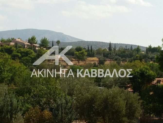 House in Kropia, Attica, Greece 1 - 14354269