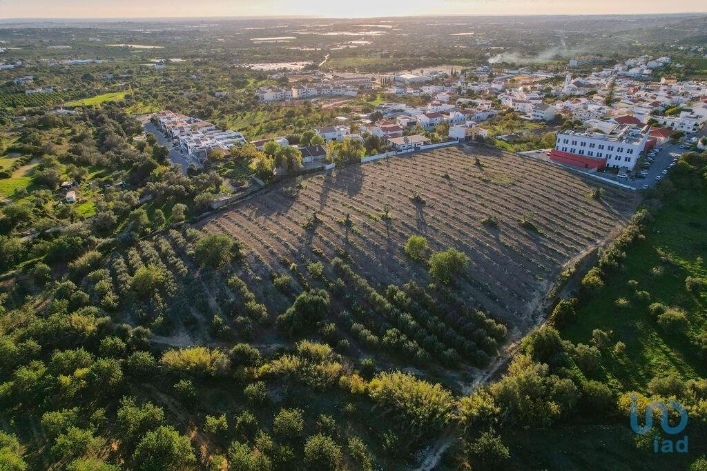 Land in Estoi, Algarve, Portugal 5 - 14356394