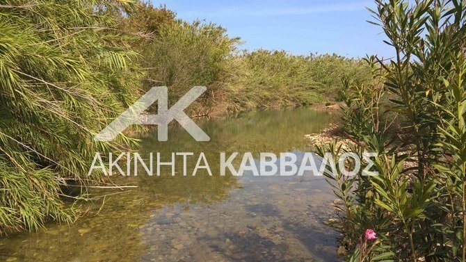 Land in Milopotamos, Greece 2 - 14354317