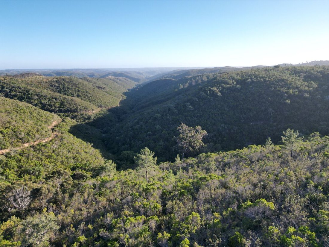 Land in Bordeira, Algarve, Portugal 1 - 14351964
