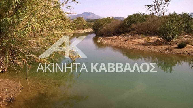 Land in Milopotamos, Greece 1 - 14354317