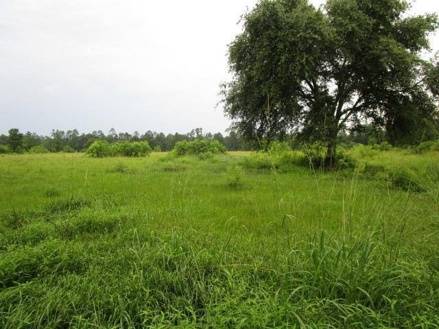 Land in Pearl River, Louisiana, United States 3 - 14351344