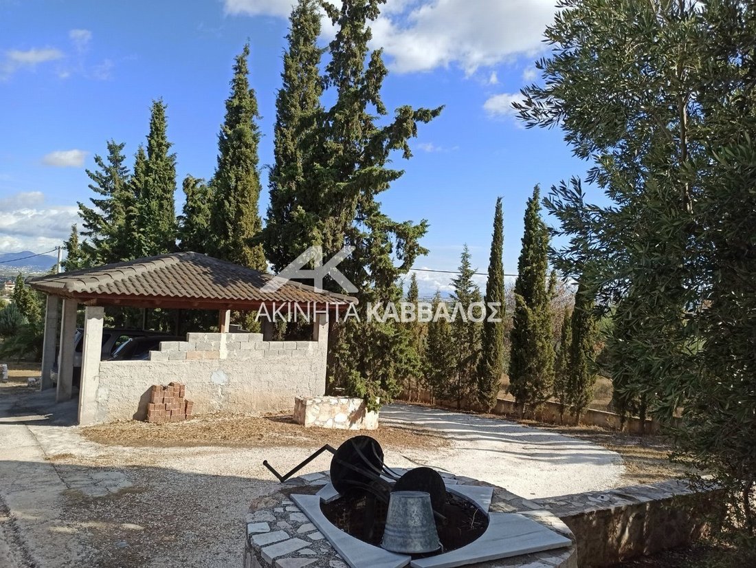 Kropia, Attica, Greece 5 - 14353754