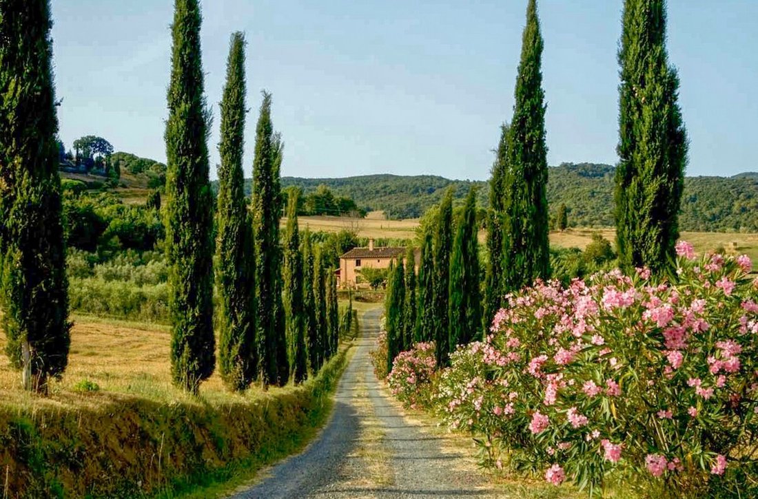 Villa in Riparbella, Tuscany, Italy 1 - 14352824