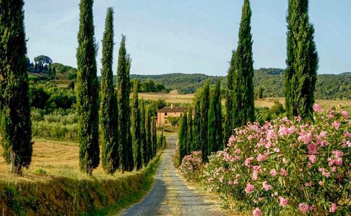 Villa a Riparbella, Toscana, Italia 1