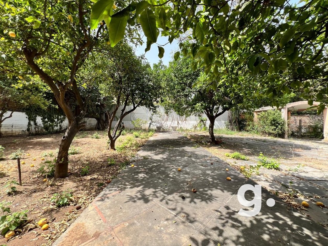 Condo in Filothei, Attica, Greece 3 - 14359642