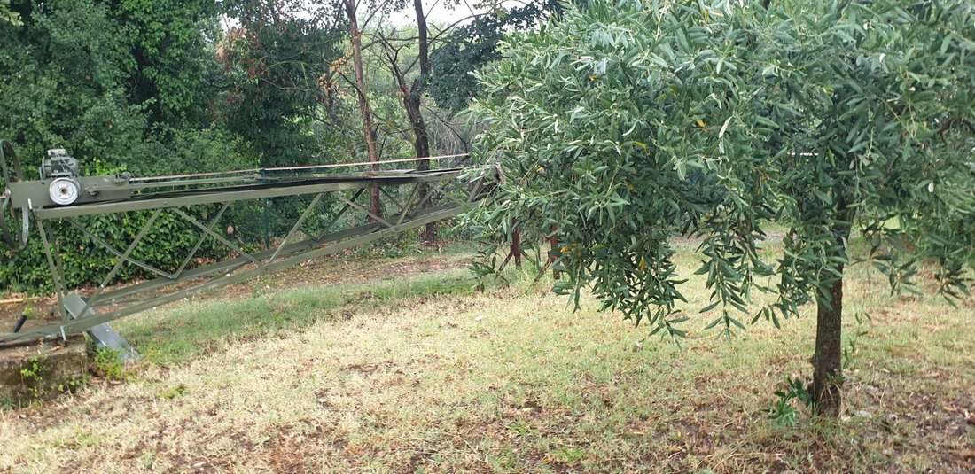 Villa in Capolona, Tuscany, Italy 5 - 14359169