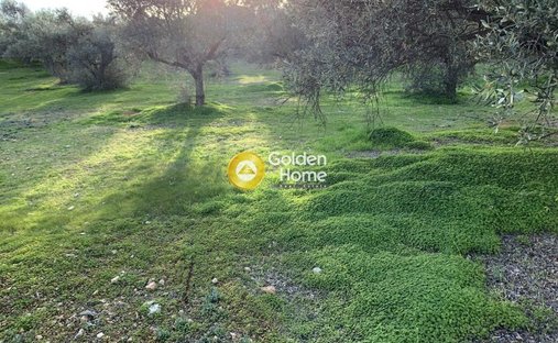 Land in Kropia, Attica, Greece 1
