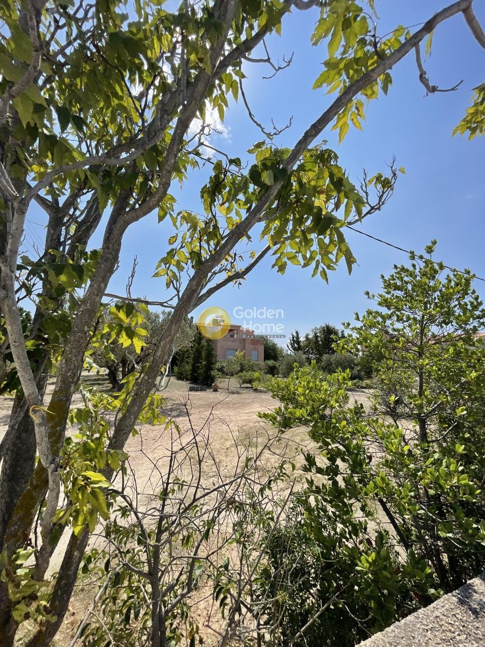 House in Aegina, Attica, Greece 4 - 14361052