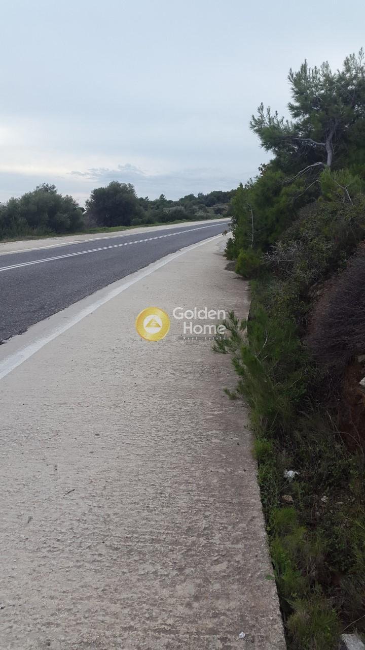 Land in Lavreotiki, Attica, Greece 1 - 14362720