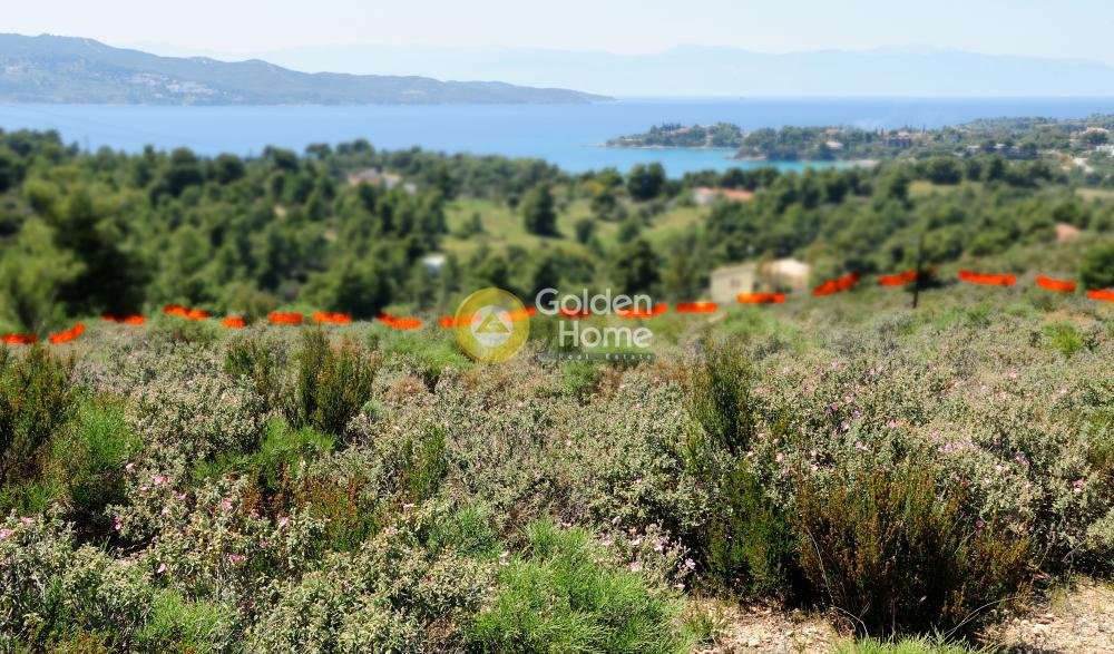 Land in Koinotita Portoxeliou, Kranidi, Greece 4 - 14362722