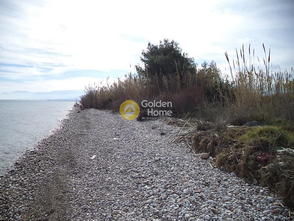 Land in Loggou, Sympolitia, Peloponnese, Western Greece and the Ionian 4 - 14362733