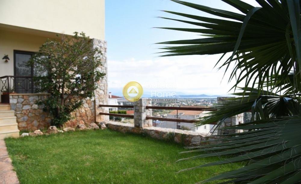House in Marathonas, Attica, Greece 2 - 14362537