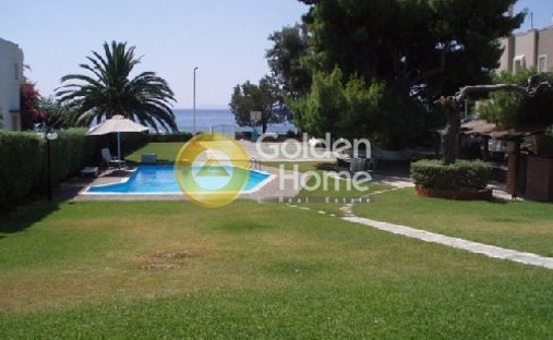 House in Community of Kineta, Megara, Greece 1