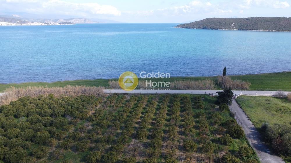 Land in Ermioni, Peloponnese, Western Greece and the Ionian, Greece 4 - 14363721
