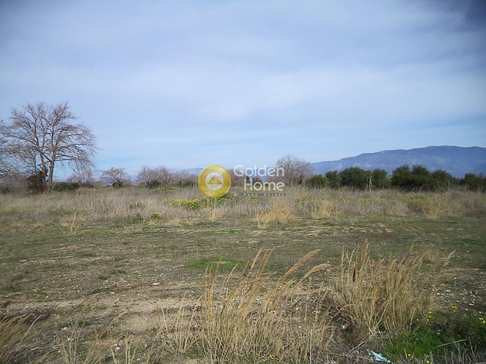 Land in Loggou, Sympolitia, Peloponnese, Western Greece and the Ionian 2 - 14362733