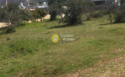 Terrain à Vari, Attique, Grèce 1