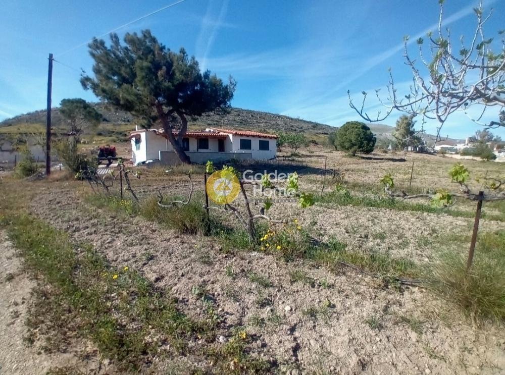 Land in Keratea, Attica, Greece 2 - 14363065